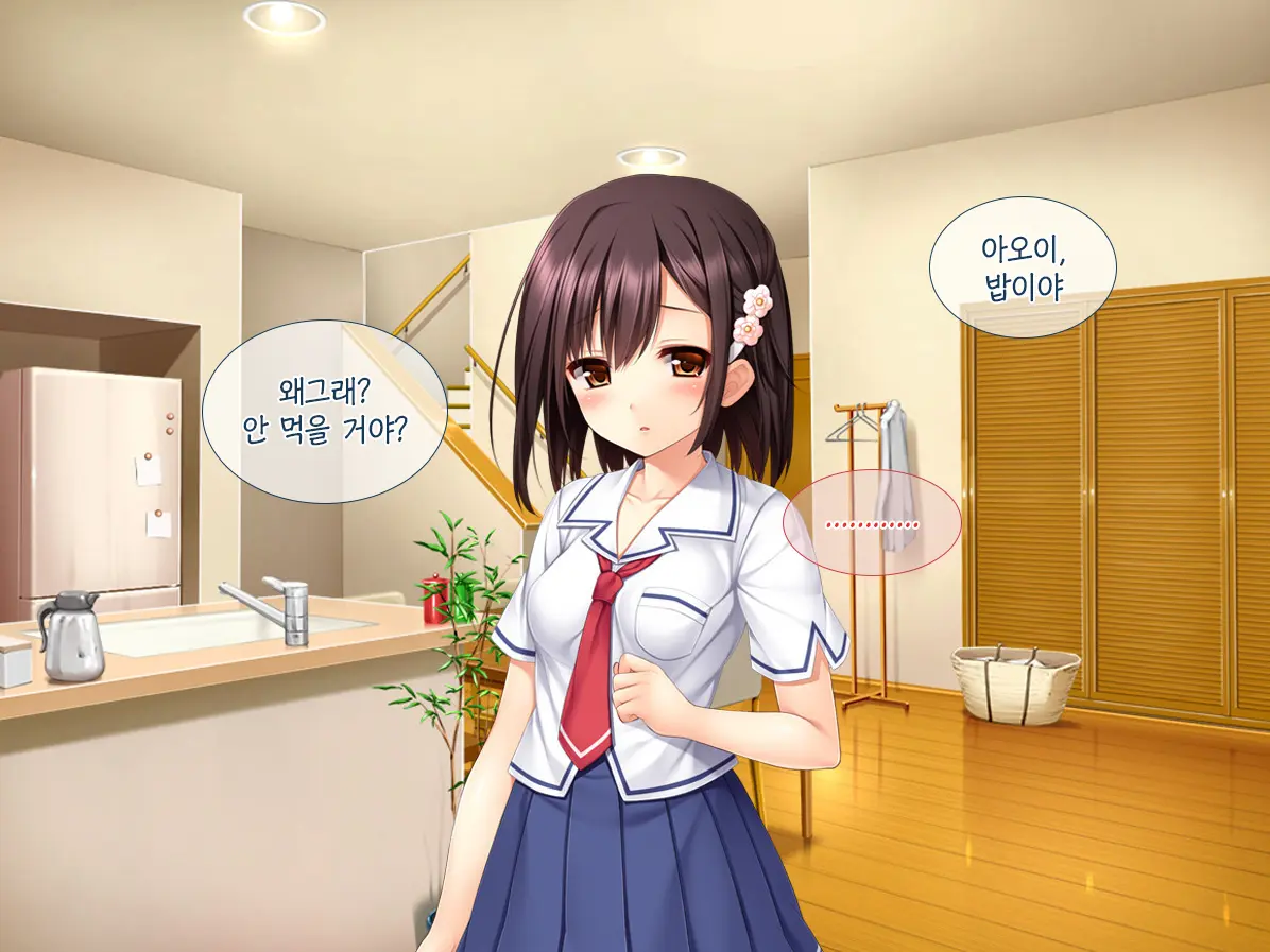 Imouto Ga Suki Sugiru Aniki Ga Kareshi Kara Netoru | 여동생을 엄청 좋아한 오빠가 남자친구에게서 여동생 빼앗기